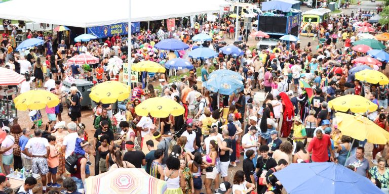 blocos-de-rua-garantem-a-folia-na-capital-federal