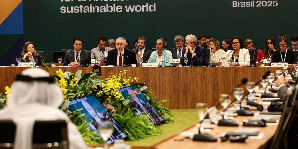 ministros-de-meio-ambiente-do-brics-se-reunem-em-brasilia