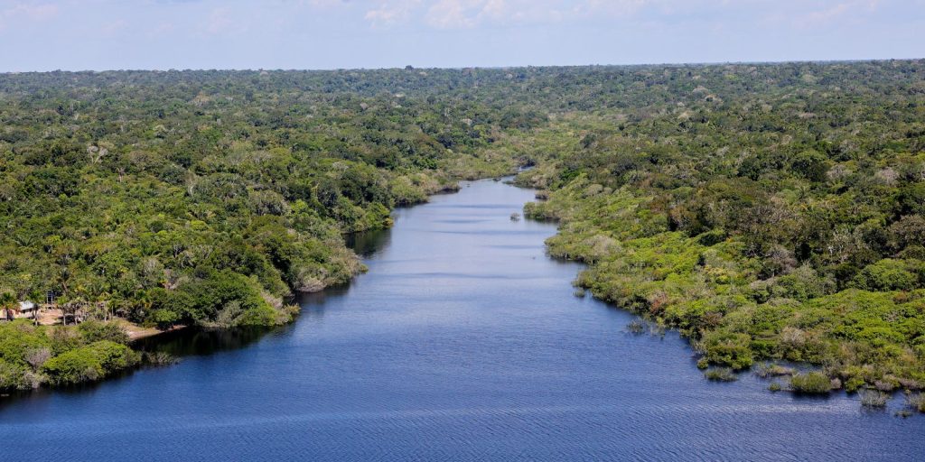 nova-etapa-do-projeto-restaura-amazonia-e-lancado-durante-atl
