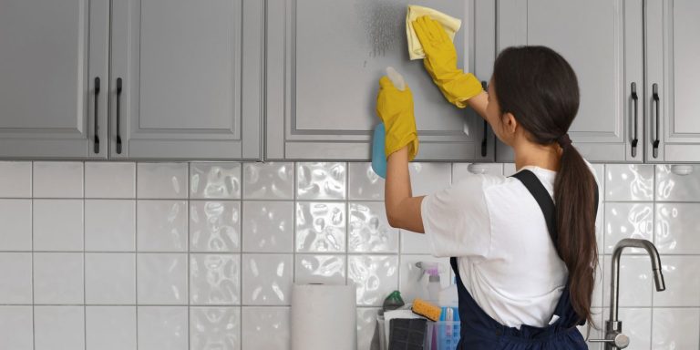 hoje-e-dia-destaca-os-direitos-das-domesticas-e-acidentes-de-trabalho