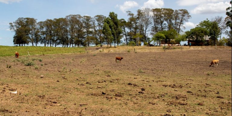 chuvas,-estiagem-e-seca-deixam-20-municipios-em-situacao-de-emergencia