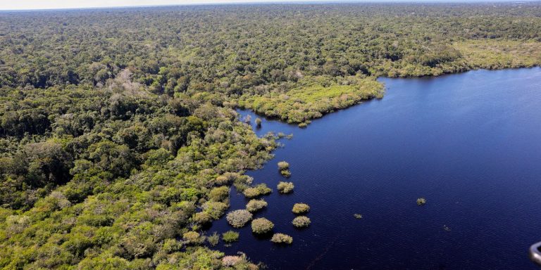 viva-maria-destaca-experiencia-em-360-graus-no-coracao-da-amazonia