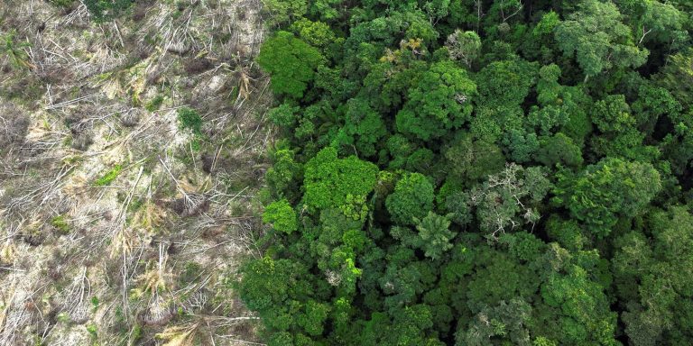 fundo-amazonia-vai-investir-r$-825-milhoes-em-acoes-do-ibama