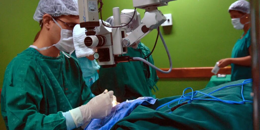 cancer-de-intestino,-que-vitimou-preta-gil,-e-o-3o-mais-comum-no-pais