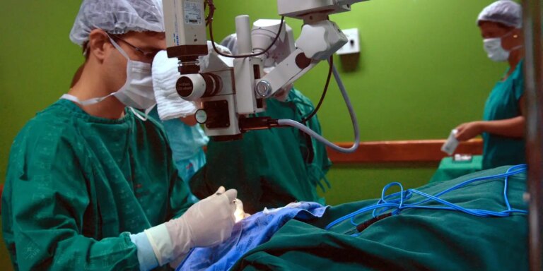 cancer-de-intestino,-que-vitimou-preta-gil,-e-o-3o-mais-comum-no-pais