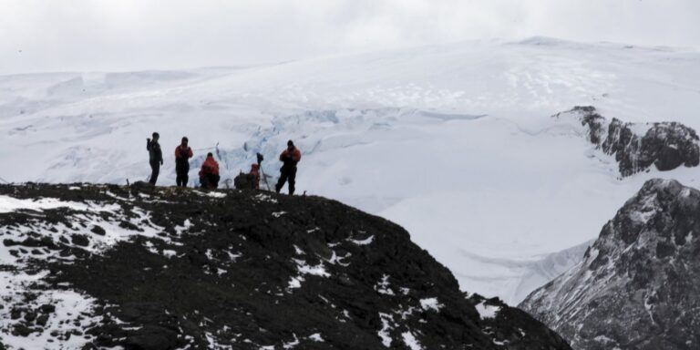 uerj-identifica-nova-especie-de-peixe-pre-historico-na-antartica