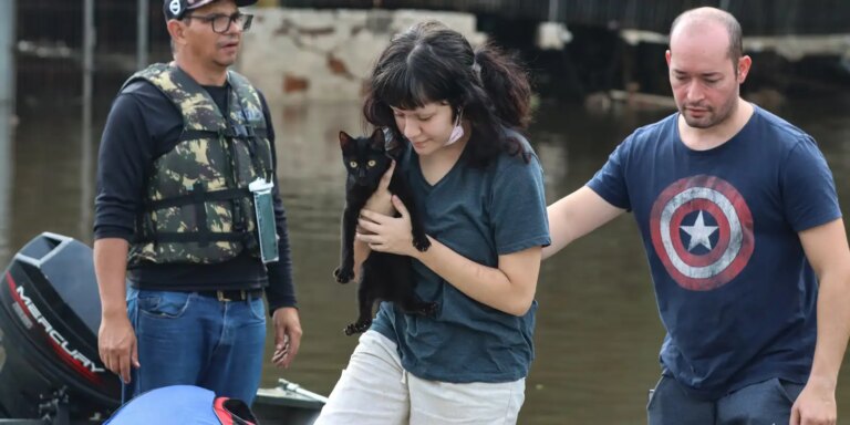 senado-aprova-politica-de-protecao-a-animais-resgatados-em-desastres