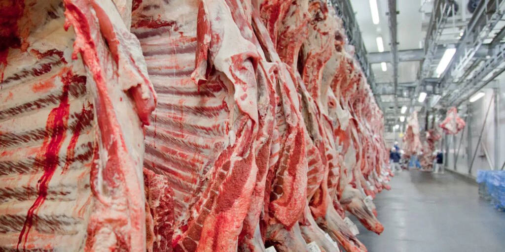 governo-promete-reverter-veto-da-ue-a-carnes-e-animais-brasileiros