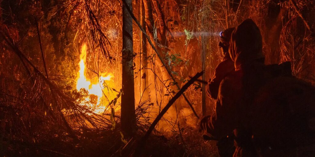 mp-libera-mais-de-r$-337-milhoes-para-combate-a-incendios-florestais