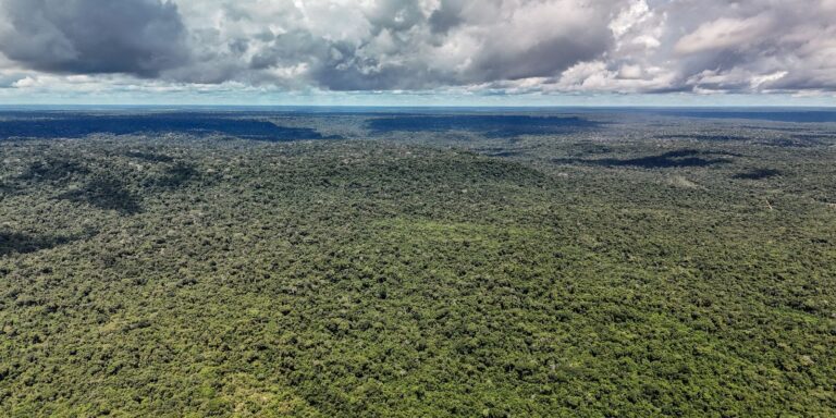adversaria-em-campo,-noruega-e-parceira-de-acoes-ambientais-do-brasil