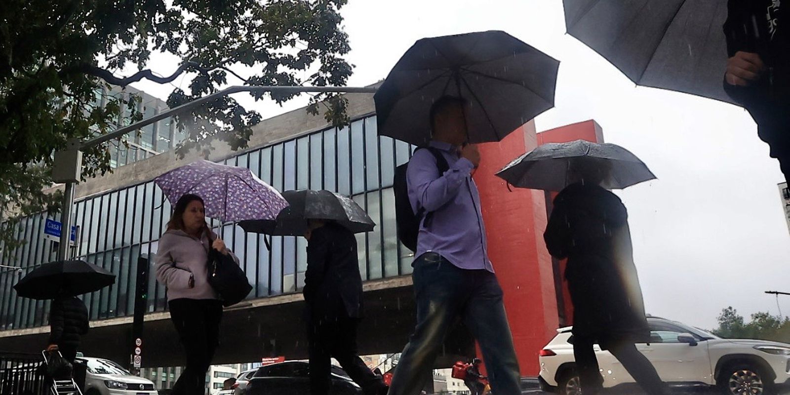 chuvas-em-sp:-cidades-do-vale-do-ribeira-estao-em-estado-de-emergencia