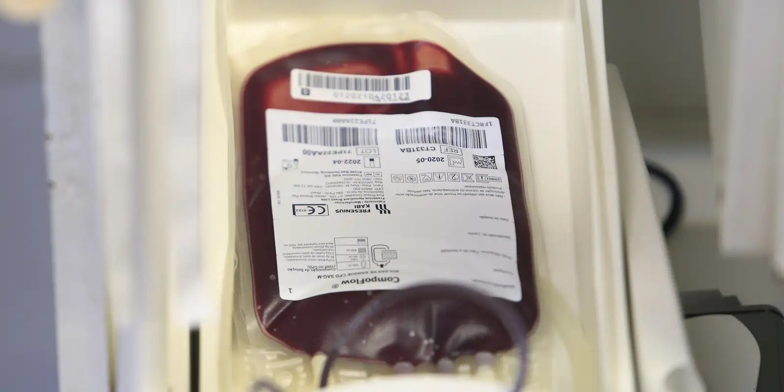 fundacao-pro-sangue-alerta-para-baixo-estoque-e-faz-apelo-a-doadores