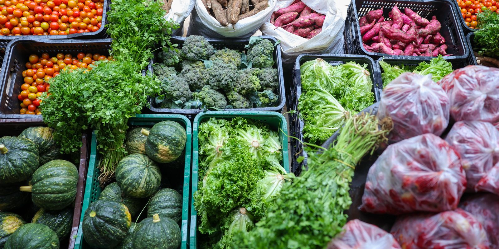 seguranca-alimentar-exige-esforco-coletivo-e-articulacao
