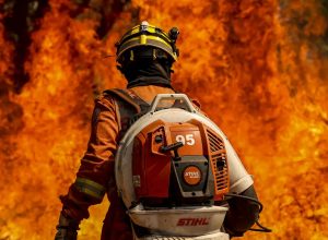 el-nino-leva-stf-a-cobrar-plano-contra-incendios-na-amazonia-legal