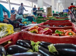 campanha-busca-engajamento-para-reduzir-desperdicio-de-alimento